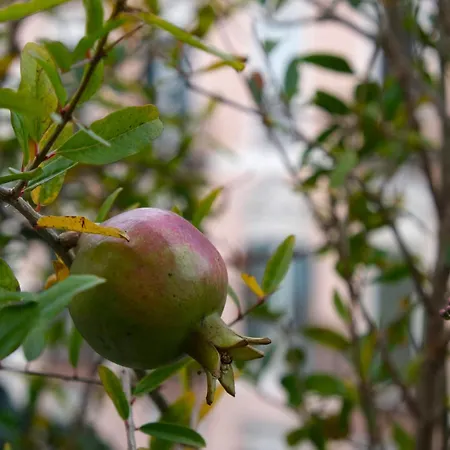 Apartment Db Exclusive Palermo