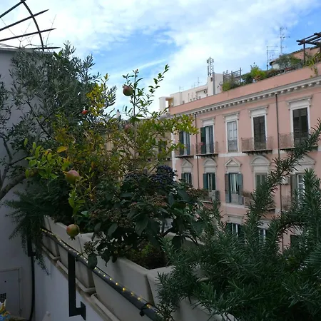 Db Exclusive * Palermo